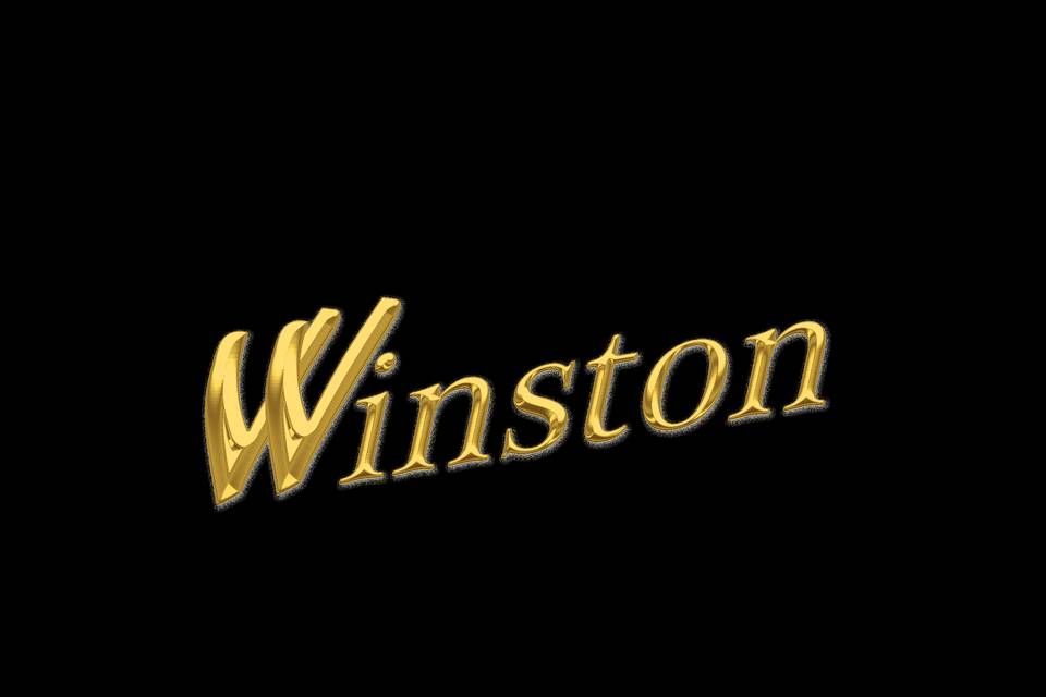 Logo Winston