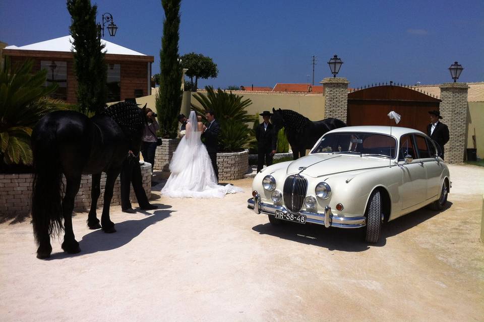 Jaguar na Casa de Abis Aveiro