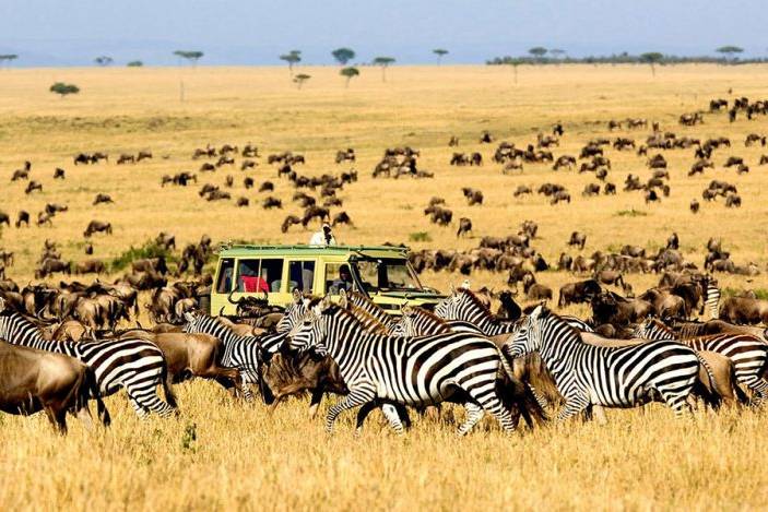 Safari Tanzânia