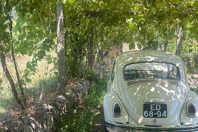 Lima Vintage Cars