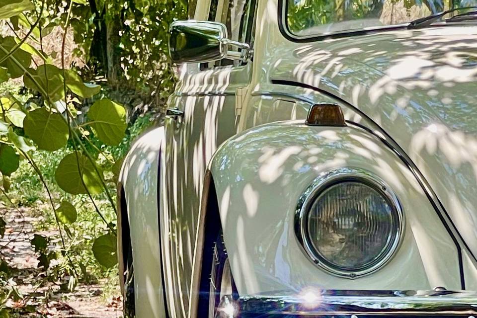 Lima Vintage Cars