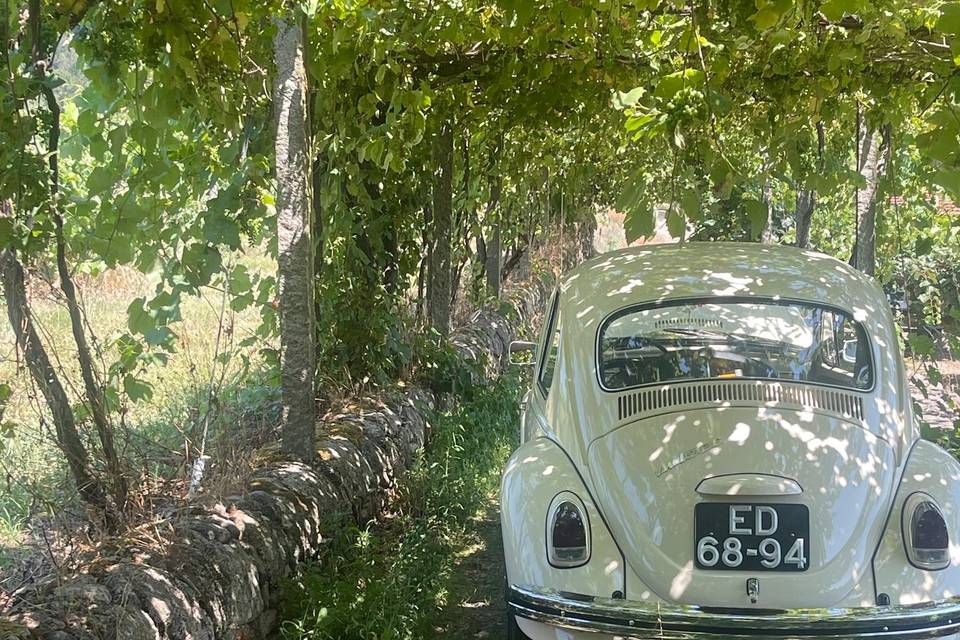 Lima Vintage Cars