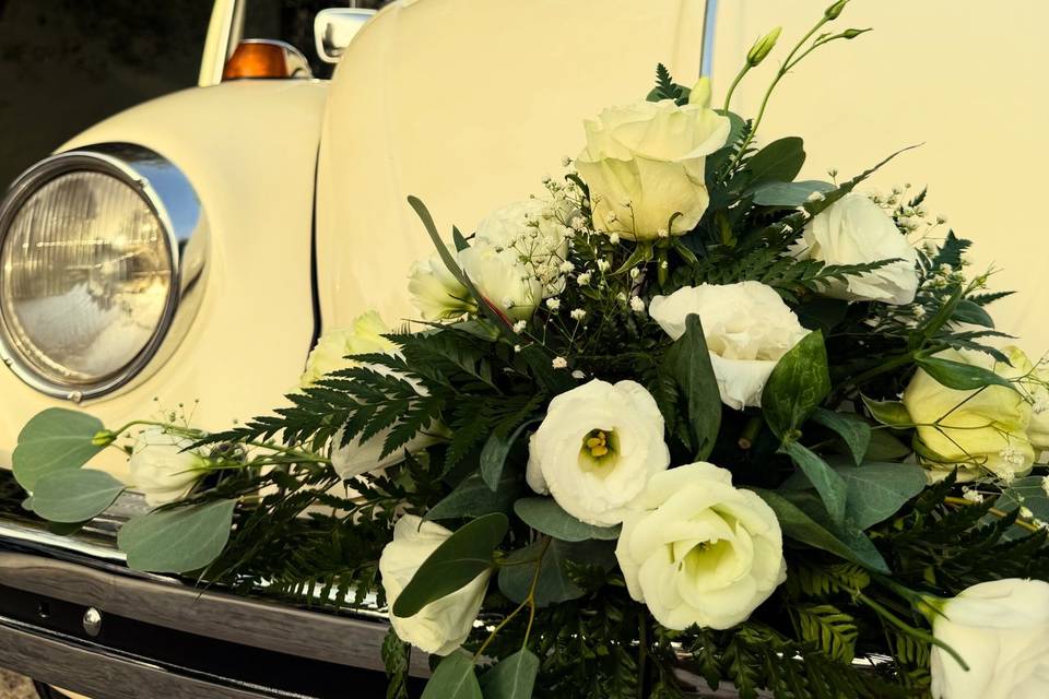 Lima Vintage Cars