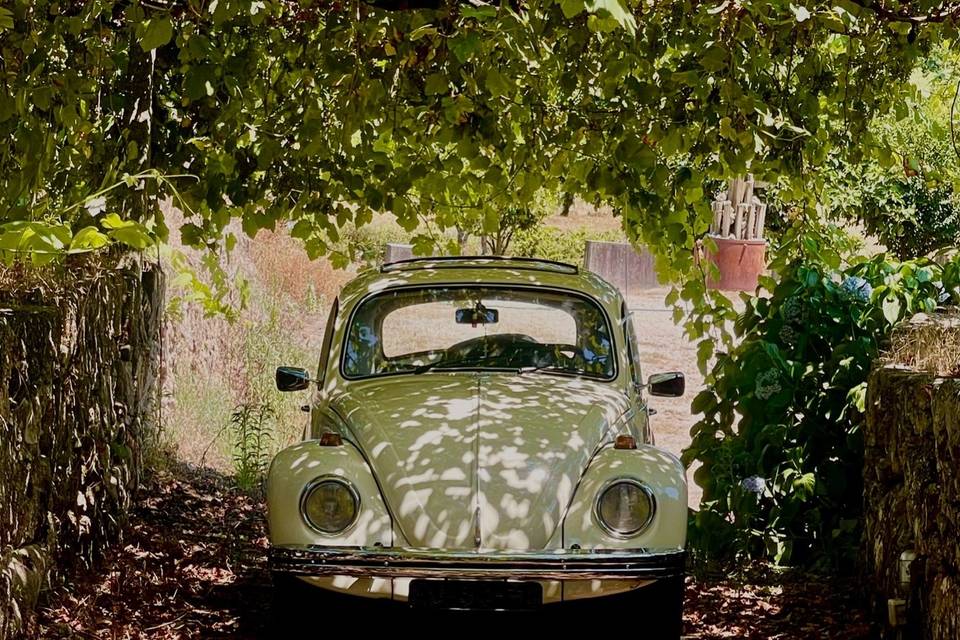 Lima Vintage Cars