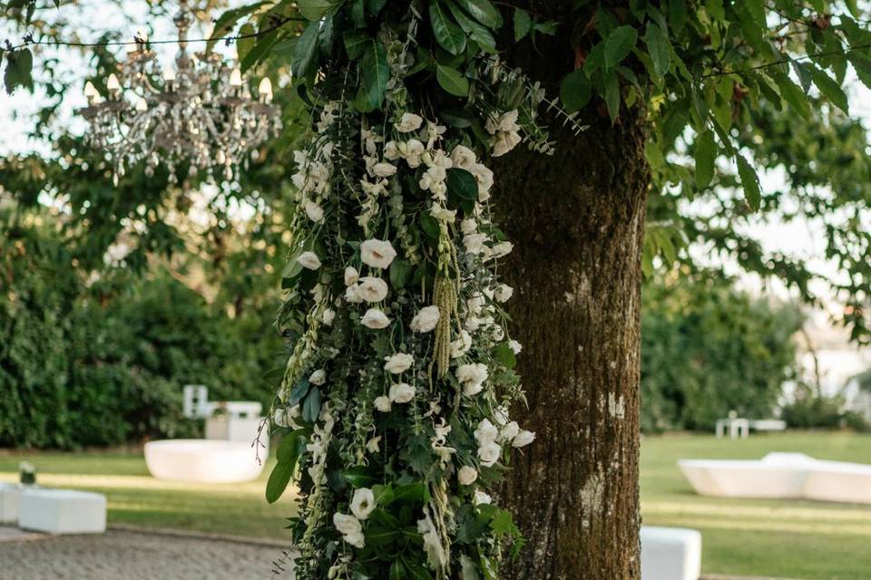 Quinta do Vale Minhoto