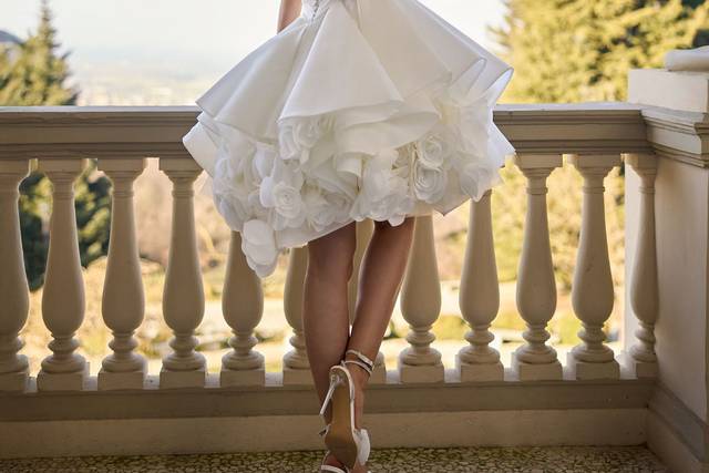Jazz by Randy Fenoli