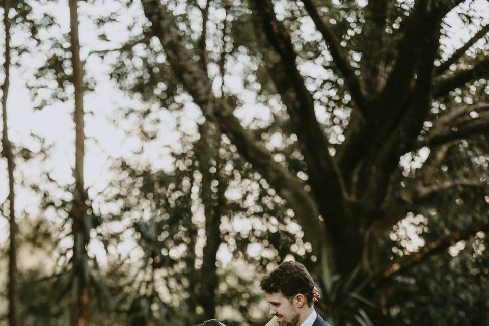 Bosque