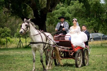 Casament0s