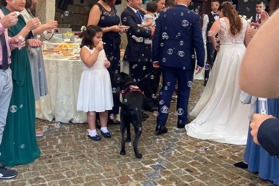 Após a cerimónia