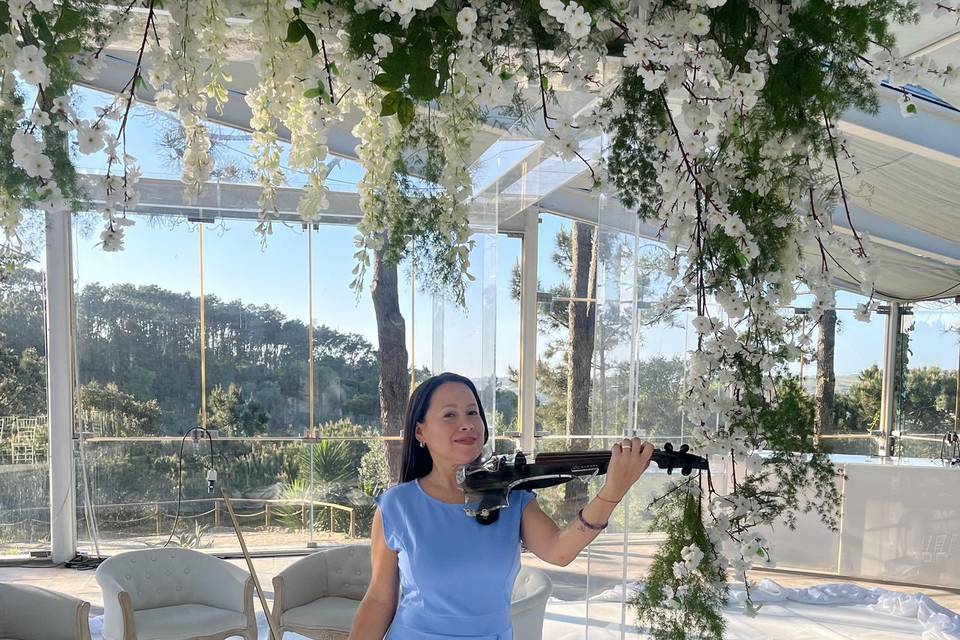 Dani B Violinista