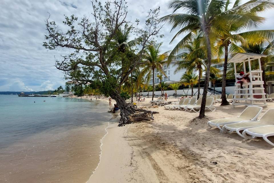 Jamaica