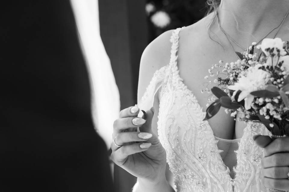 Ivetta Photos