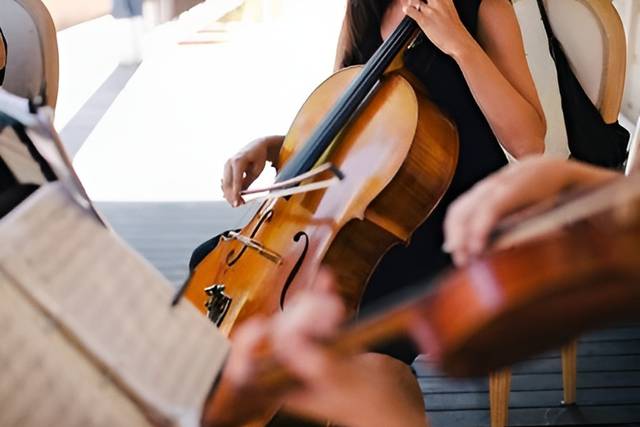 Quarteto de cordas