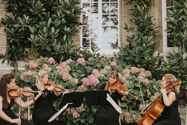 Música para cocktail: quarteto