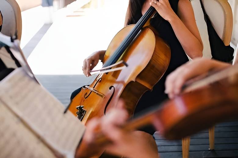 Quarteto de cordas