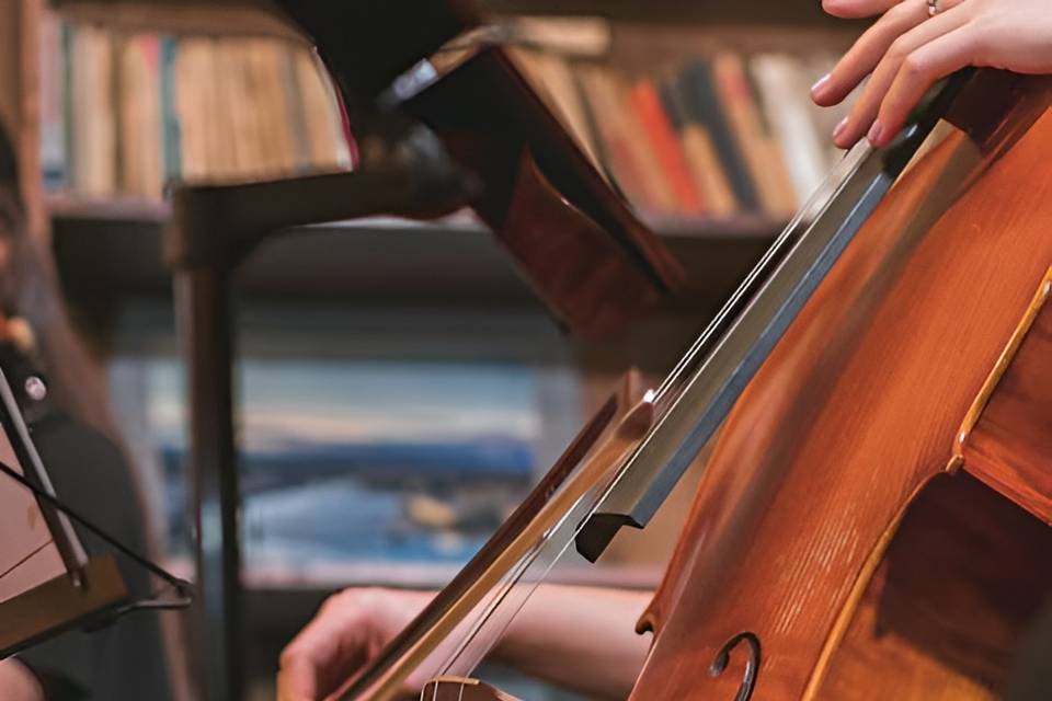 Música para cocktail: quarteto