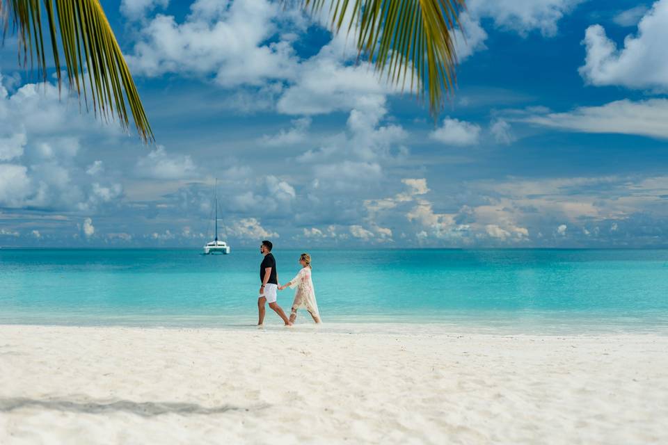 The paradise is yours