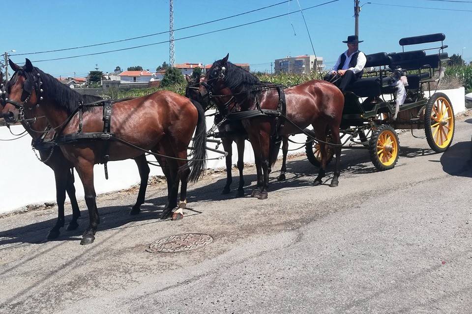 Quinta do Lano