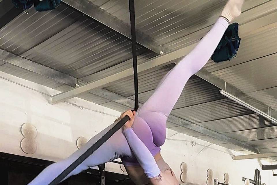 Showlyra