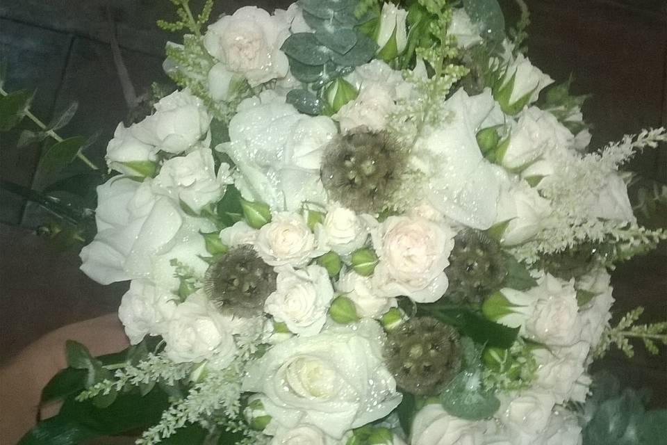 Gardénia Flores e Eventos