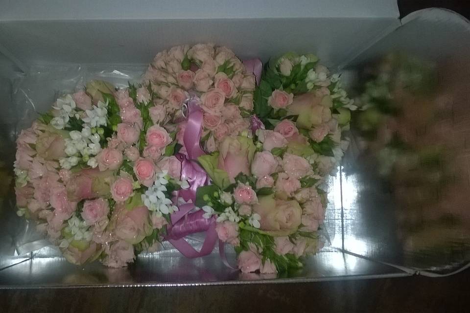 Gardénia Flores e Eventos