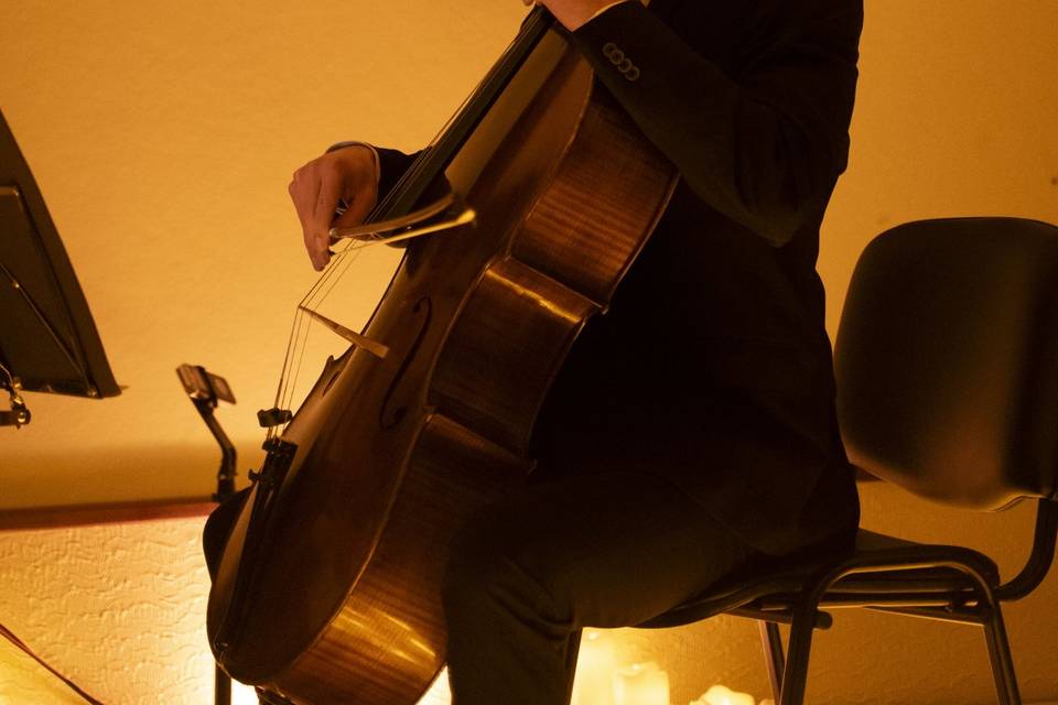 Violoncelo