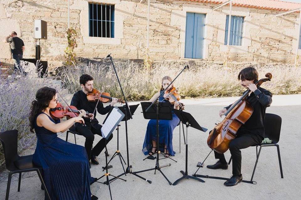 Quarteto Appassionato