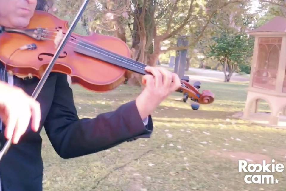 Singer + magic violin