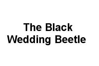 The Black Wedding Beetle
