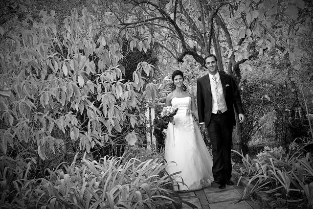 José Barradas Fotografia