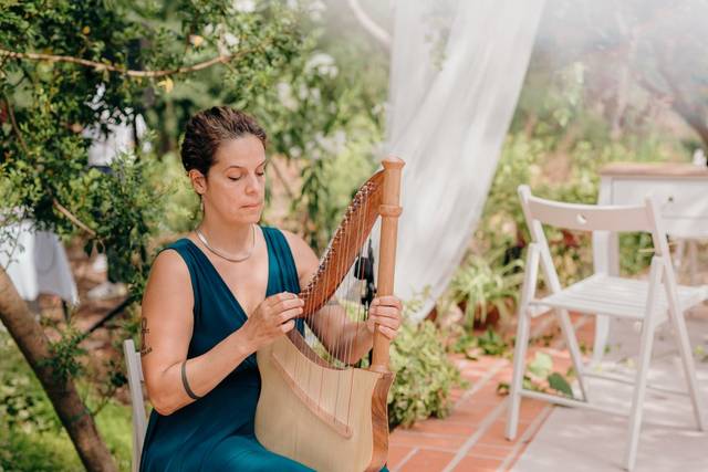 Sílvia Lute Harp