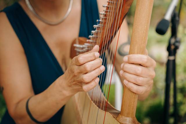 Sílvia Lute Harp