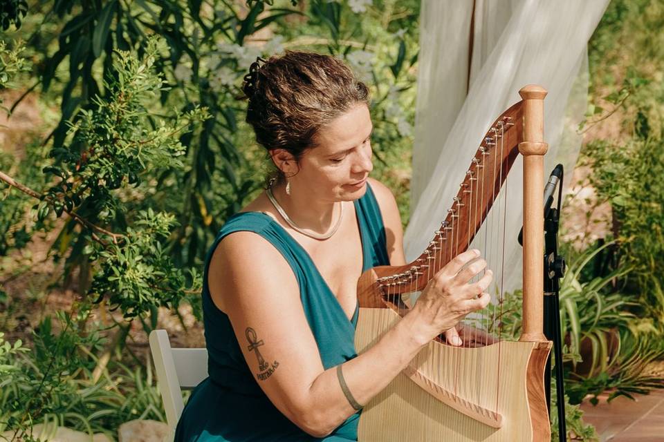 Sílvia Lute Harp