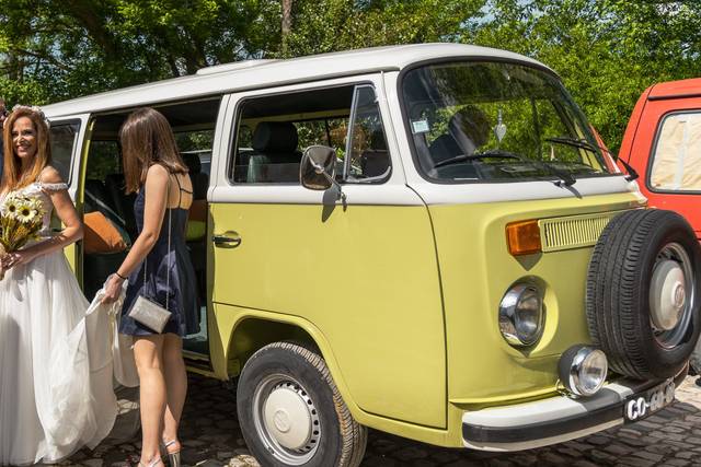 Seahorse Native & Nature