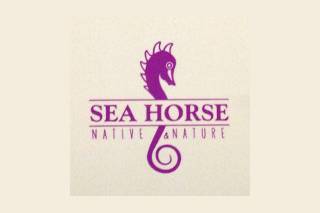 Seahorse - Native & Nature