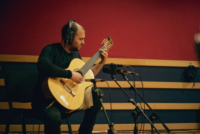 Guitar