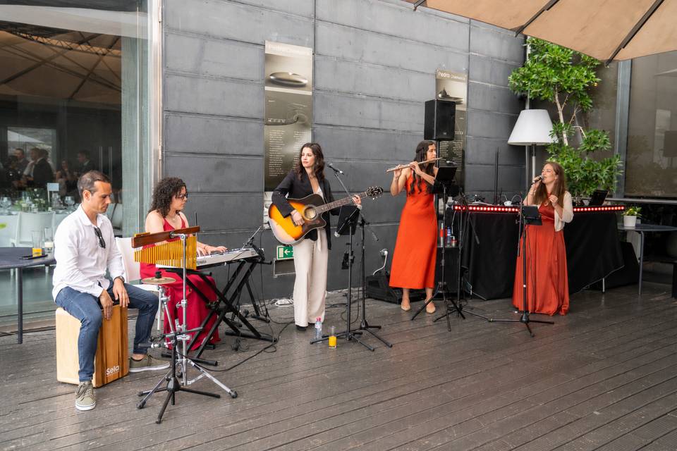 Coquetel casamento