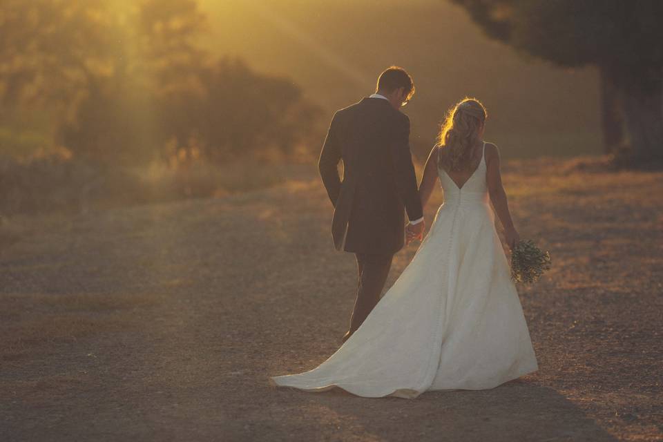 Wedding Day