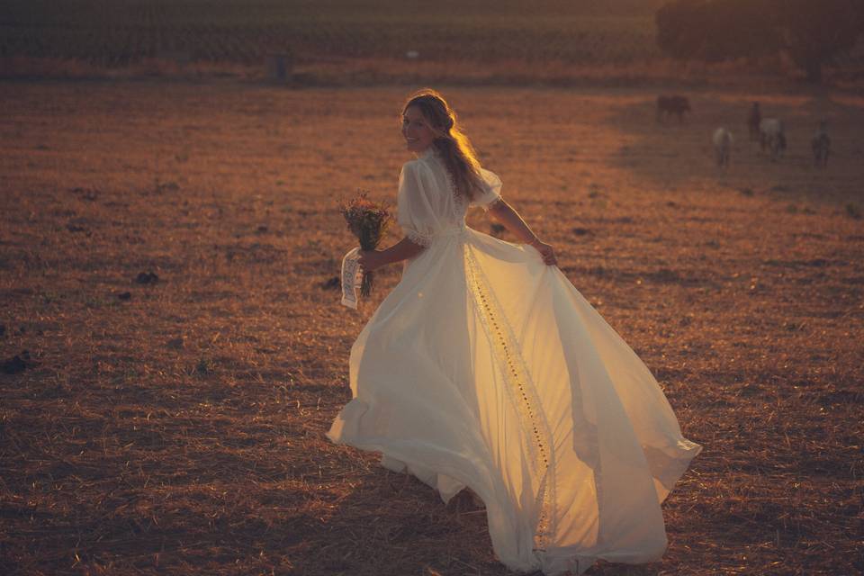 Wedding Day