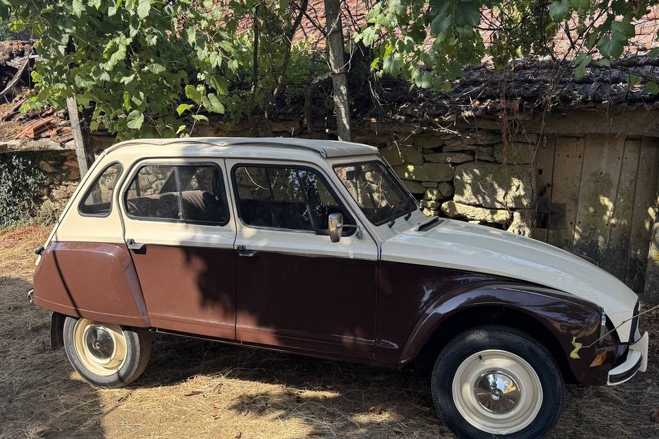 Carro