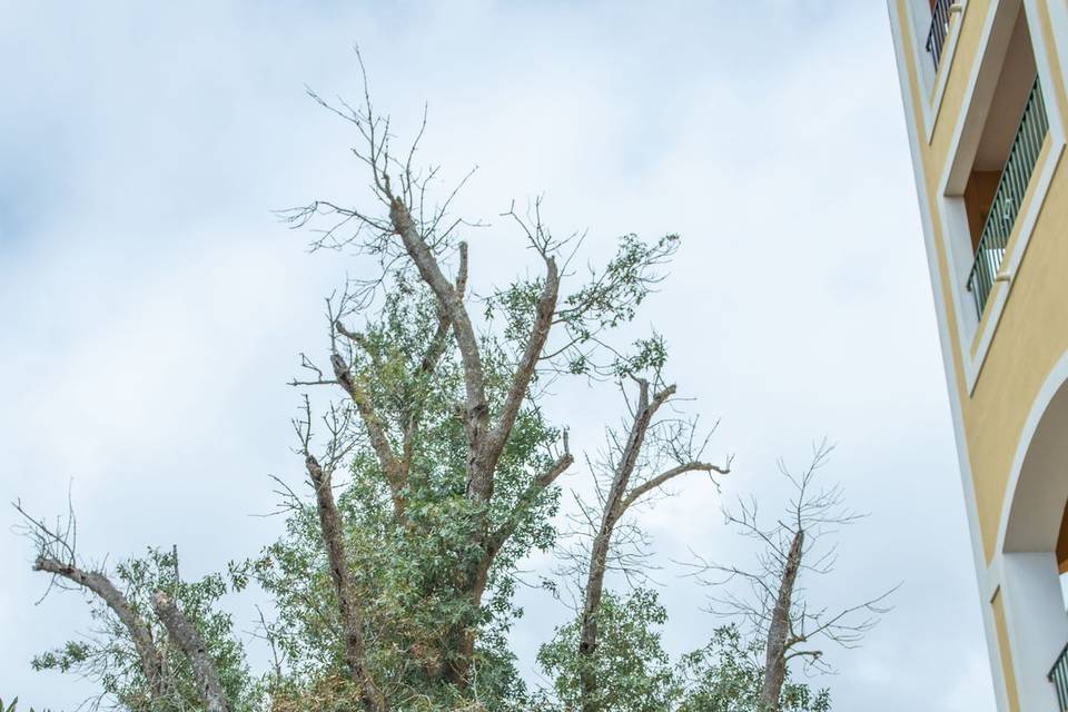 Fotoimaginativa