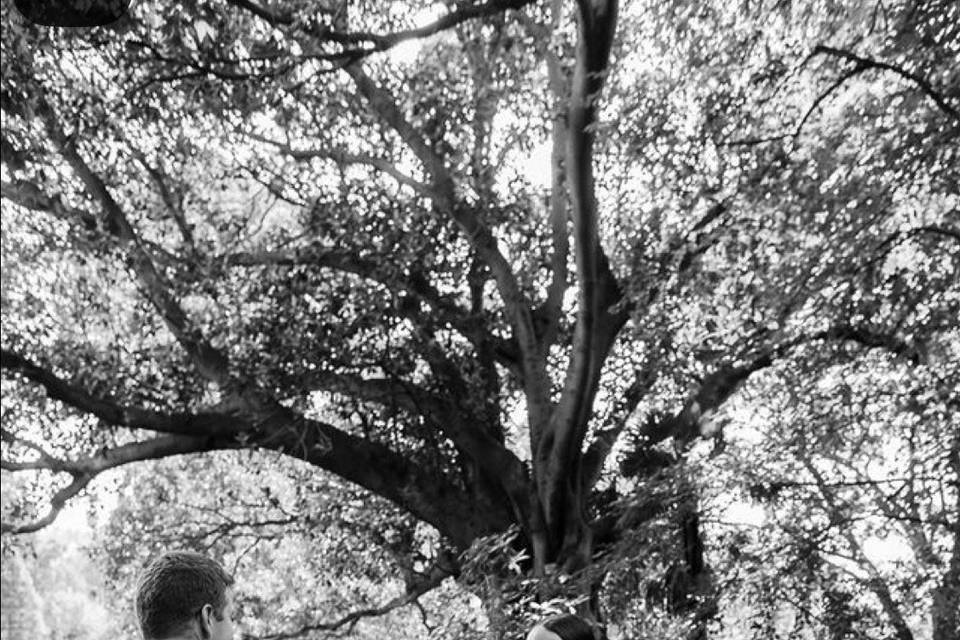 Amar Photography