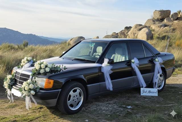 Mercedes 190