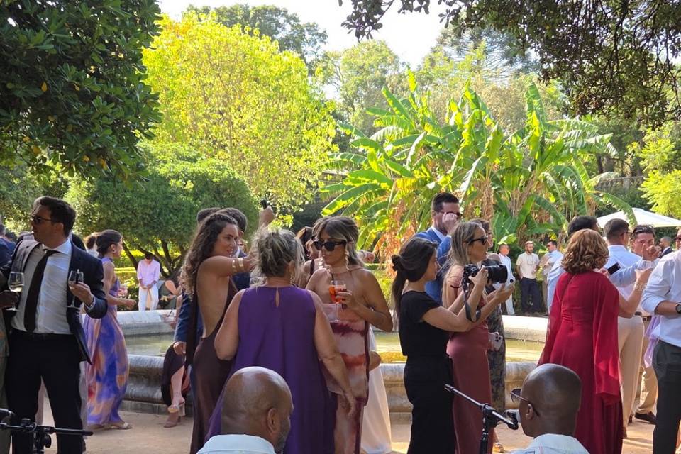 Convidados dançando