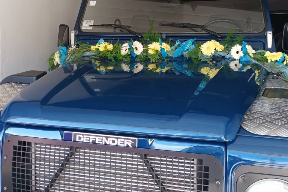 Decoração carro