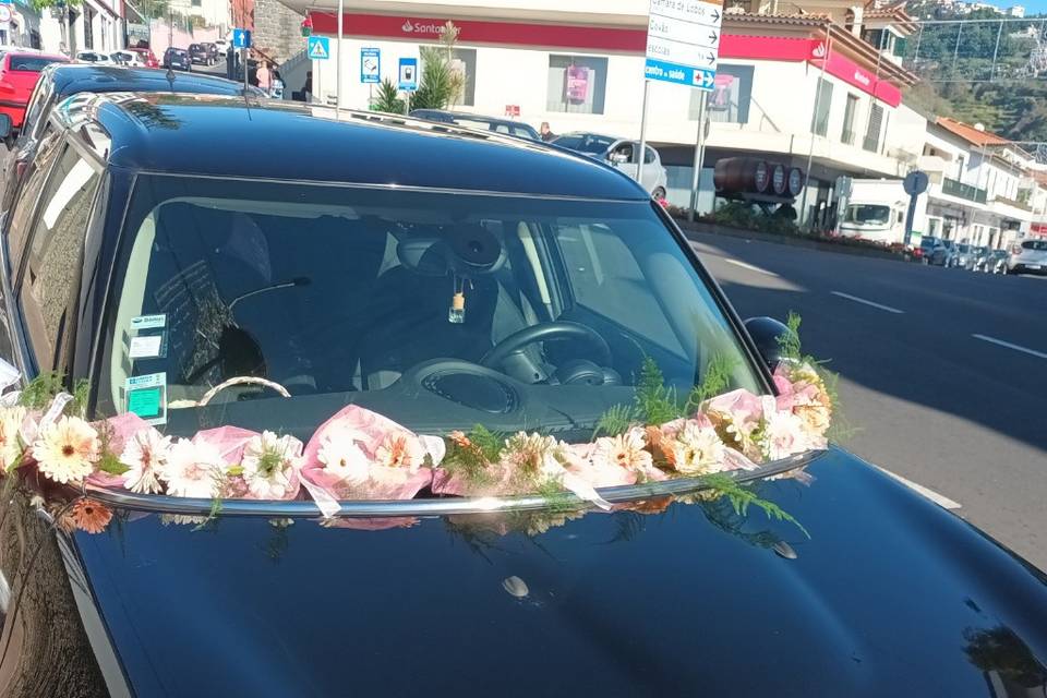 Decoração carro