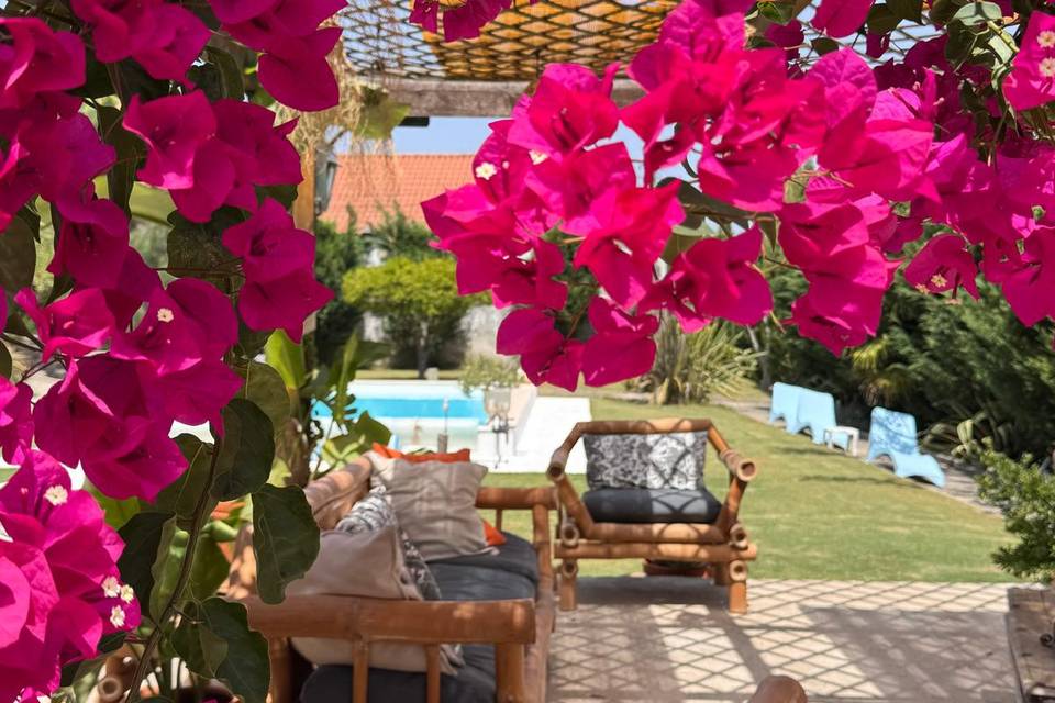 Relax