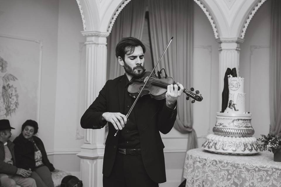 Violino