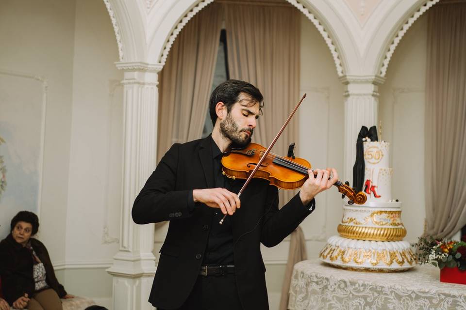 Violino