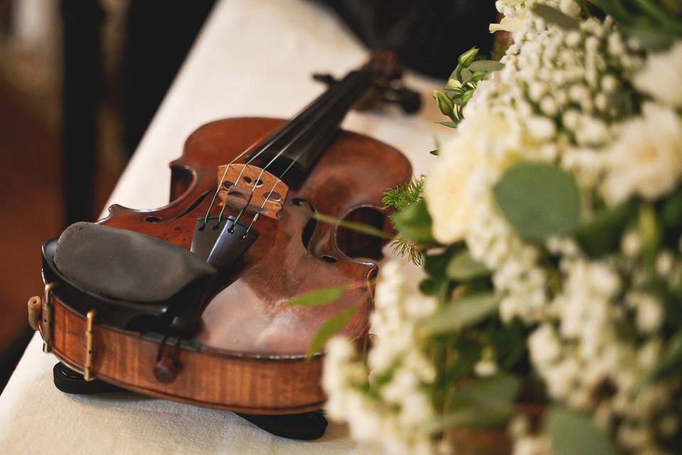 Violino